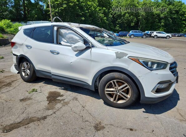5NMZUDLBXHH023667 2017 HYUNDAI SANTA White წინა მარჯვენა