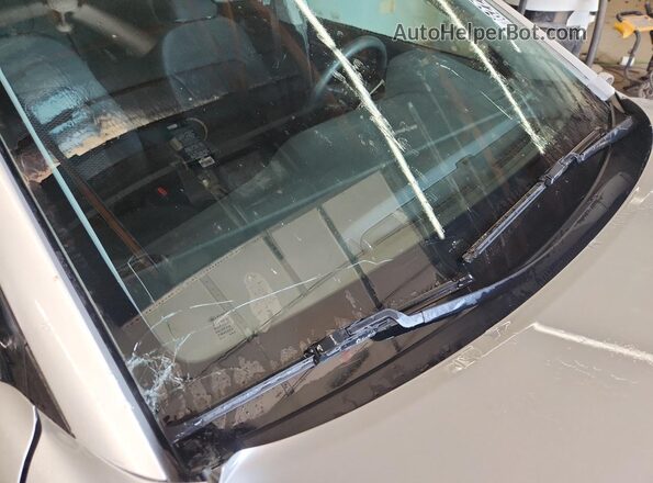 5NPD74LF0KH462343 2019 HYUNDAI ELANTRA Silver VIN sticker view