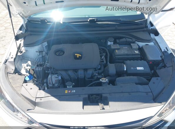 5NPD74LF1KH479930 2019 HYUNDAI ELANTRA  Вид сзади