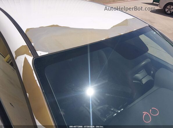5NPD74LF1KH492886 2019 HYUNDAI ELANTRA White Вид задньої частини салону