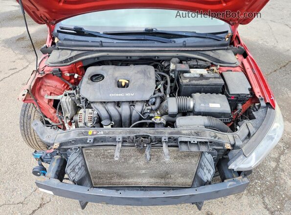 5NPD74LF6HH070847 2017 HYUNDAI ELANTRA Red Widok wnętrza z tyłu