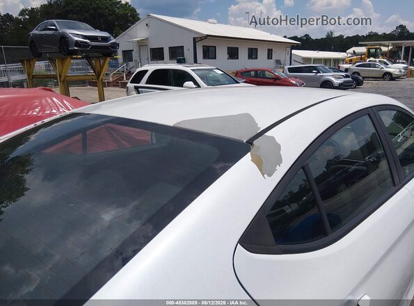 5NPD74LF6KH493368 2019 HYUNDAI ELANTRA White Սալոնի հետևի տեսք