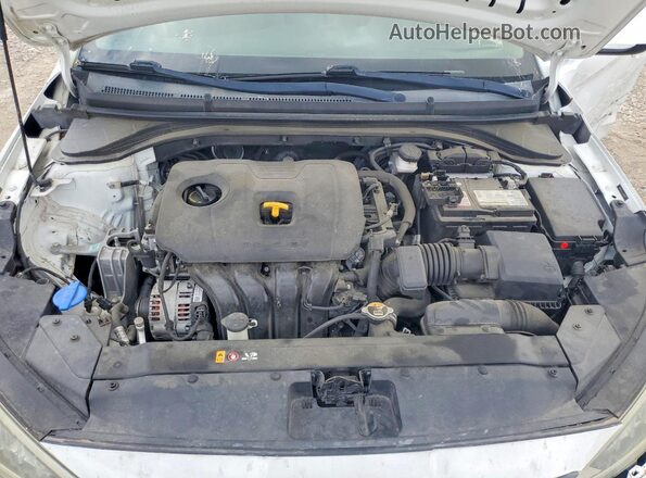 5NPD74LFXLH499191 2020 HYUNDAI ELANTRA White Սալոնի հետևի տեսք