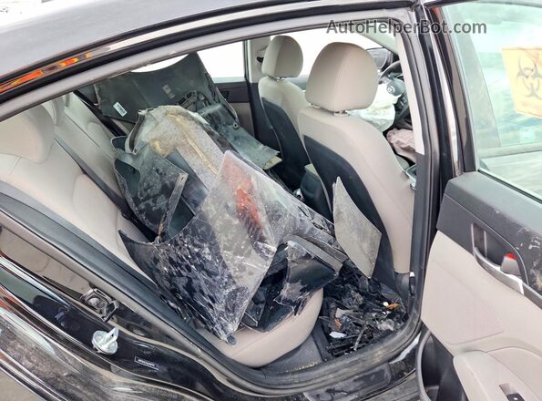 5NPD84LF0LH507991 2020 HYUNDAI ELANTRA Blue Հետևի նստատեղերի տեսք