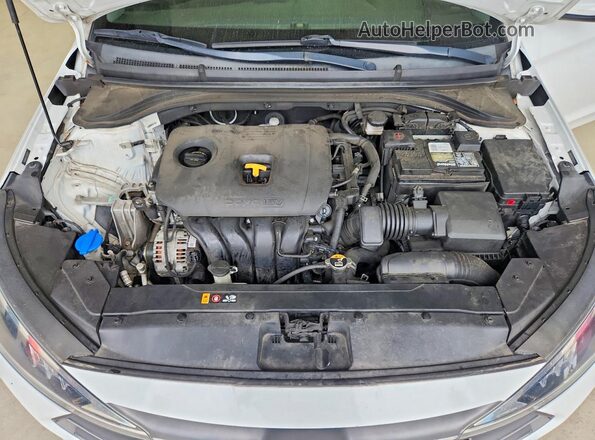5NPD84LF2LH571921 2020 HYUNDAI ELANTRA White Սալոնի հետևի տեսք