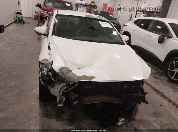 5NPD84LF3HH207434 2017 HYUNDAI ELANTRA White Widok z przodu