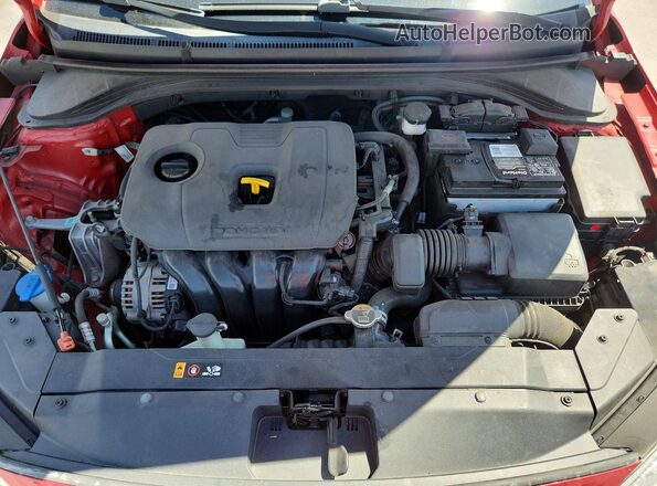 5NPD84LF3LH515938 2020 HYUNDAI ELANTRA Red Սալոնի հետևի տեսք