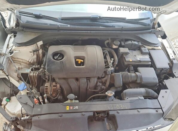 5NPD84LF4LH579910 2020 HYUNDAI ELANTRA White უკანა სალონის ხედი
