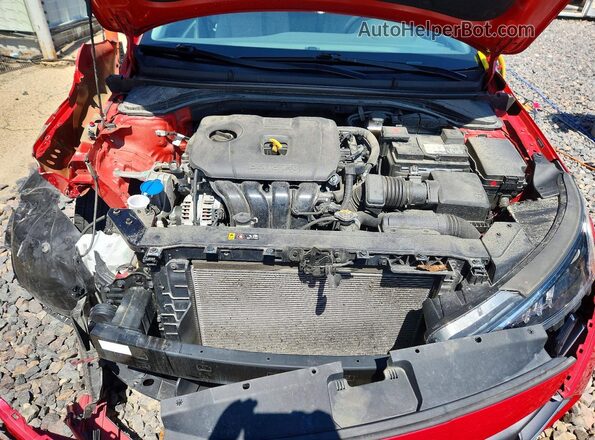 5NPD84LF8LH594314 2020 HYUNDAI ELANTRA Red Սալոնի հետևի տեսք