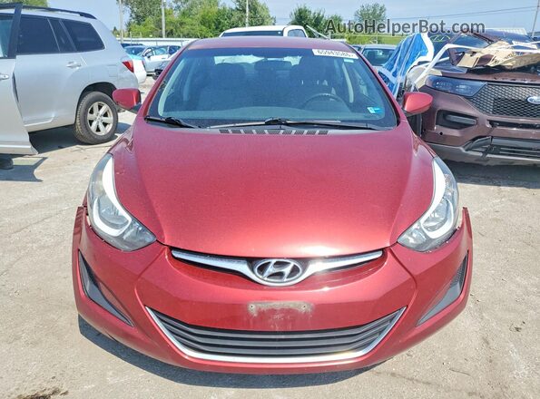 5NPDH4AE0GH694746 2016 HYUNDAI ELANTRA Красный Вид спереди