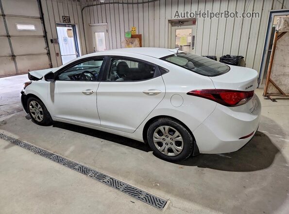 5NPDH4AE1GH693623 2016 HYUNDAI ELANTRA White Задня ліва чверть