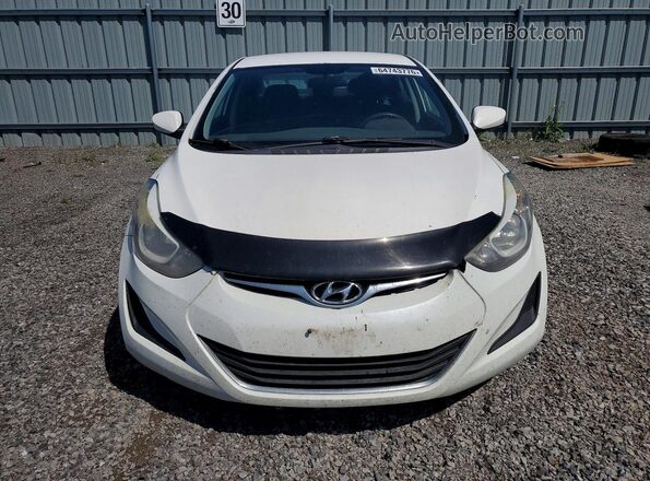5NPDH4AE3GH726315 2016 HYUNDAI ELANTRA White Widok z przodu
