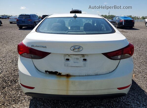 5NPDH4AE3GH726315 2016 HYUNDAI ELANTRA White Widok z tyłu