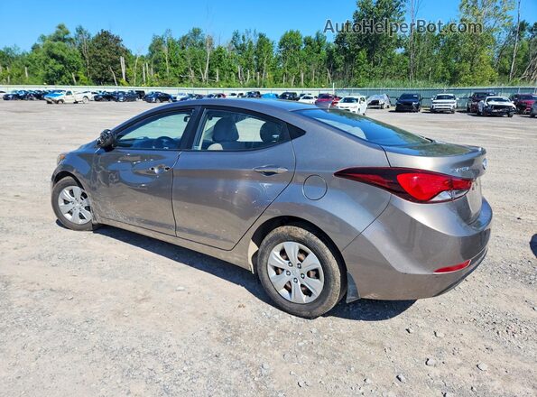 5NPDH4AE3GH797465 2016 HYUNDAI ELANTRA Gold Tył lewy