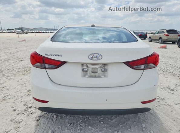5NPDH4AE5GH767822 2016 HYUNDAI ELANTRA Белый Вид сзади