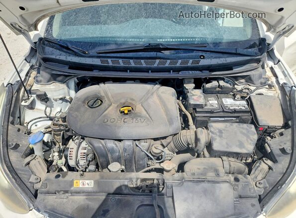 5NPDH4AE5GH767822 2016 HYUNDAI ELANTRA Белый Вид задней части салона