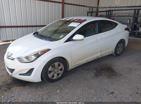 5NPDH4AE6GH704406 2016 HYUNDAI ELANTRA Белый Передняя левая четверть