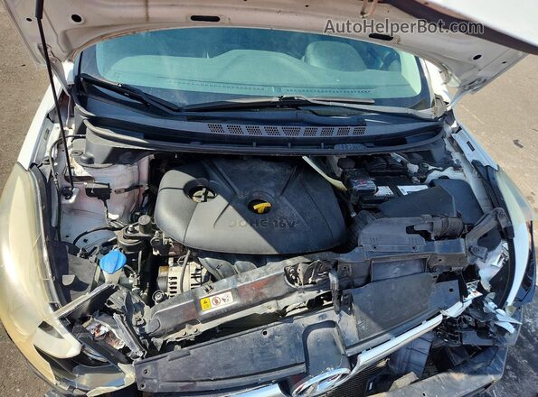 5NPDH4AE6GH766792 2016 HYUNDAI ELANTRA Белый Вид задней части салона