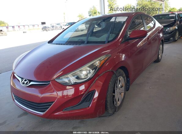 5NPDH4AE7GH732053 2016 HYUNDAI ELANTRA Maroon Widok z przodu
