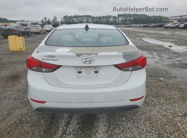 5NPDH4AE8GH692081 2016 HYUNDAI ELANTRA Белый Вид сзади