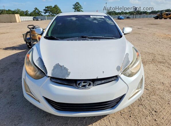 5NPDH4AE9GH657260 2016 HYUNDAI ELANTRA White Դիմացի տեսք