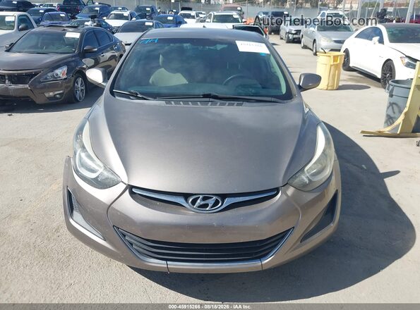 5NPDH4AE9GH773266 2016 HYUNDAI ELANTRA Коричневый Вид задней части салона