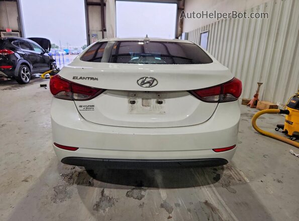 5NPDH4AEXGH760185 2016 HYUNDAI ELANTRA White Widok z tyłu