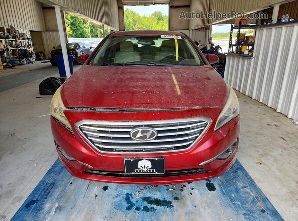 5NPE24AF0GH318367 2016 HYUNDAI SONATA Maroon Vista frontal