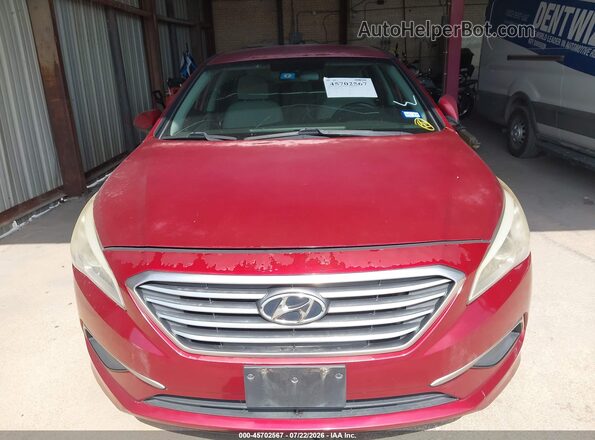 5NPE24AF0GH321107 2016 HYUNDAI SONATA Red Սալոնի հետևի տեսք