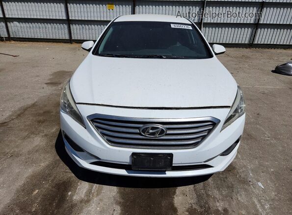 5NPE24AF0GH393456 2016 HYUNDAI SONATA Белый Вид спереди