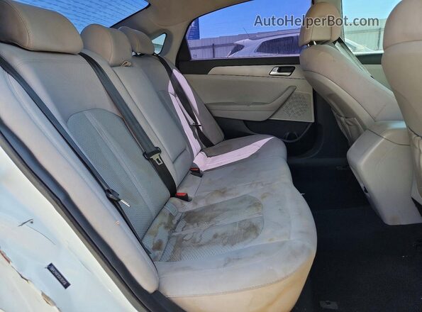 5NPE24AF0GH393456 2016 HYUNDAI SONATA Белый Вид задних сидений