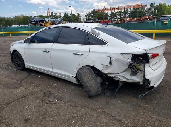 5NPE24AF0GH399435 2016 HYUNDAI SONATA Белый Задняя левая четверть