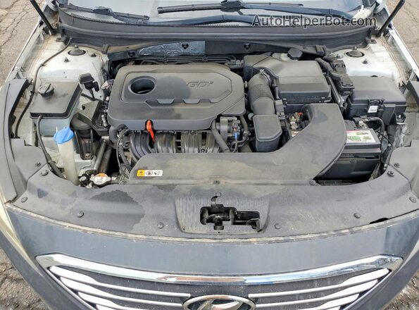 5NPE24AF0GH399435 2016 HYUNDAI SONATA Белый Вид задней части салона