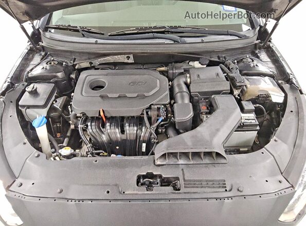 5NPE24AF0KH781313 2019 HYUNDAI SONATA Black Widok wnętrza z tyłu