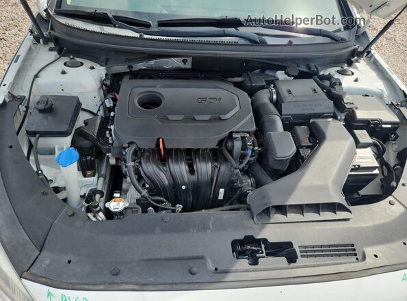 5NPE24AF0KH783515 2019 HYUNDAI SONATA Белый Вид задней части салона