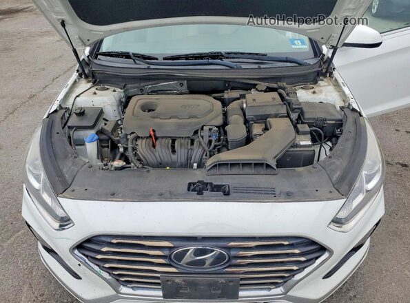 5NPE24AF0KH802225 2019 HYUNDAI SONATA Белый Вид задней части салона