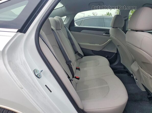 5NPE24AF0KH802225 2019 HYUNDAI SONATA Белый Вид задних сидений