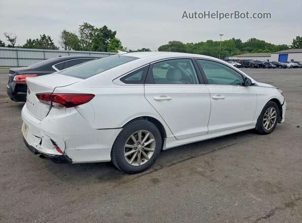 5NPE24AF0KH802225 2019 HYUNDAI SONATA Белый Задняя правая четверть