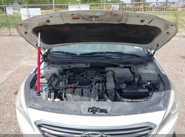 5NPE24AF1GH289686 2016 HYUNDAI SONATA Белый Вид сзади