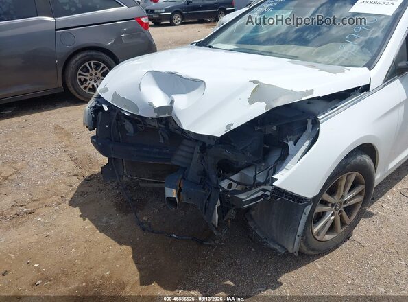 5NPE24AF1GH317910 2016 HYUNDAI SONATA White Դիմացի տեսք