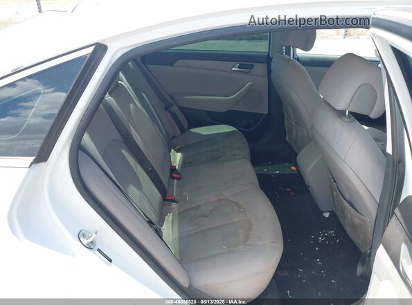 5NPE24AF1GH317910 2016 HYUNDAI SONATA White VIN կոդի պիտակի տեսք