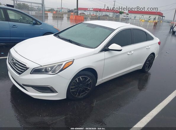 5NPE24AF1GH323562 2016 HYUNDAI SONATA Белый Передняя левая четверть