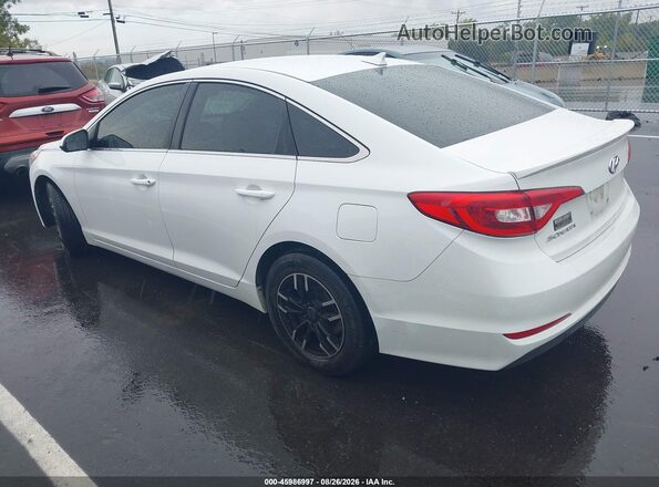5NPE24AF1GH323562 2016 HYUNDAI SONATA Белый Задняя левая четверть