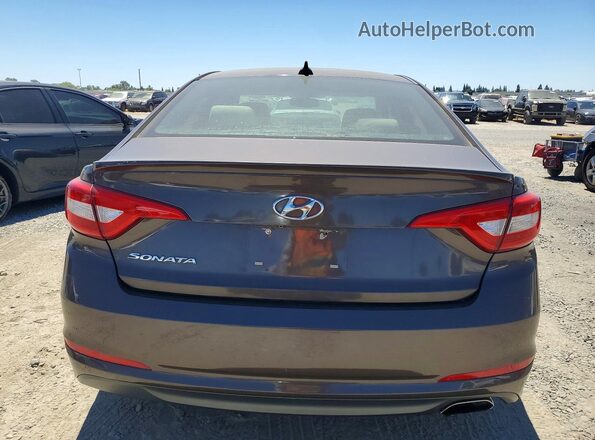 5NPE24AF1GH360529 2016 HYUNDAI SONATA Brown Вид ззаду