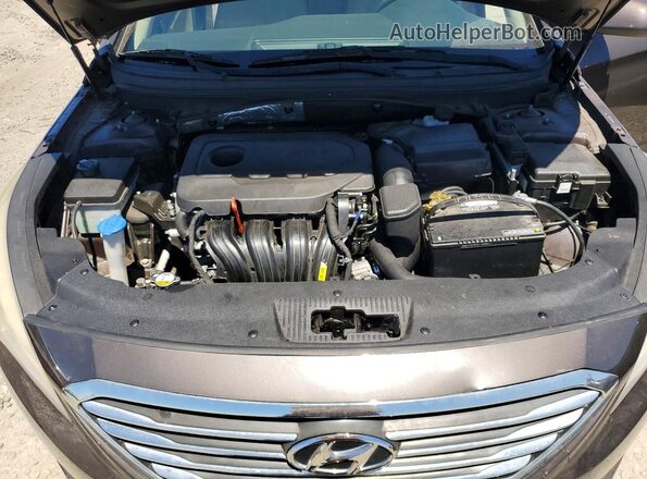 5NPE24AF1GH360529 2016 HYUNDAI SONATA Brown Вид задньої частини салону