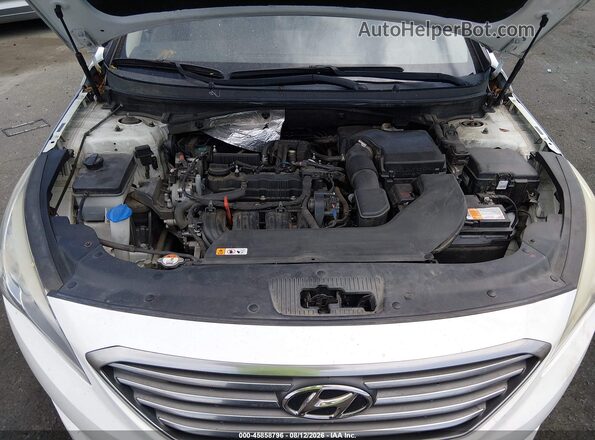 5NPE24AF1GH372910 2016 HYUNDAI SONATA Белый Вид сзади