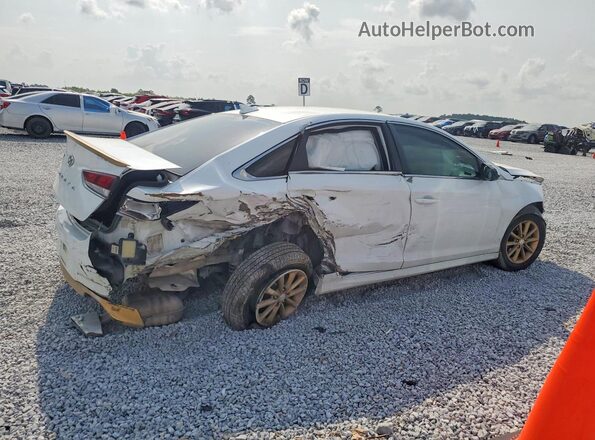 5NPE24AF1KH762446 2019 HYUNDAI SONATA White Rear right