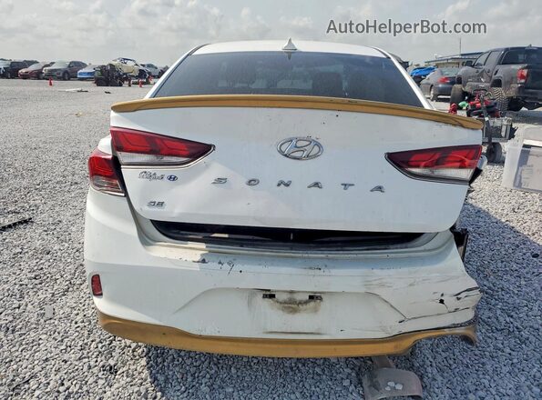 5NPE24AF1KH762446 2019 HYUNDAI SONATA White Rear view
