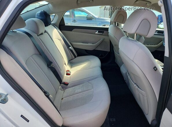 5NPE24AF2GH264098 2016 HYUNDAI SONATA White Widok tylnych siedzeń