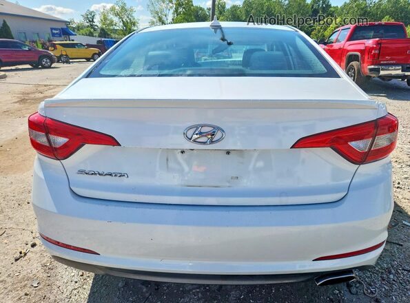5NPE24AF2GH264098 2016 HYUNDAI SONATA White Widok z tyłu